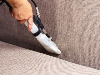 The best Pet Odour removal - Yourlocalcarpetcleaner