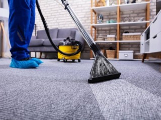 Experienced and Skilled Local Carpet Cleaner - yourlocalcarpetcleaner