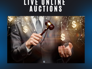Revolutionize Live Auctions with Innova Technologies' Simulcast Auction Software
